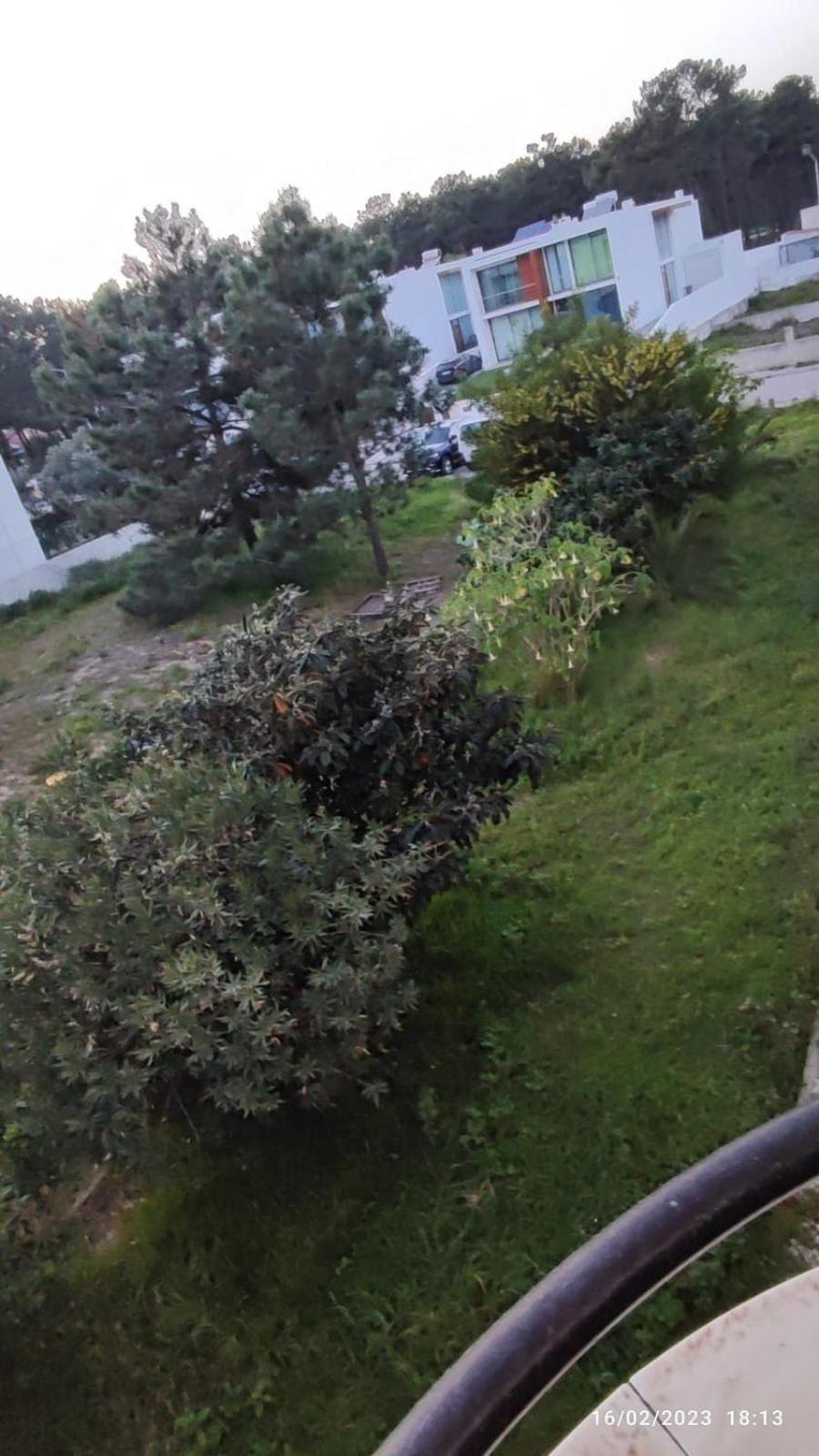 Beach, Surf And Golf Apartment Near Lisbon Aroeira  Экстерьер фото
